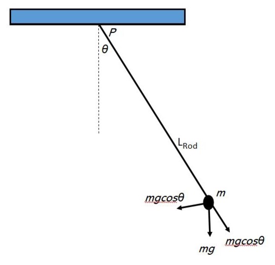 The physical system